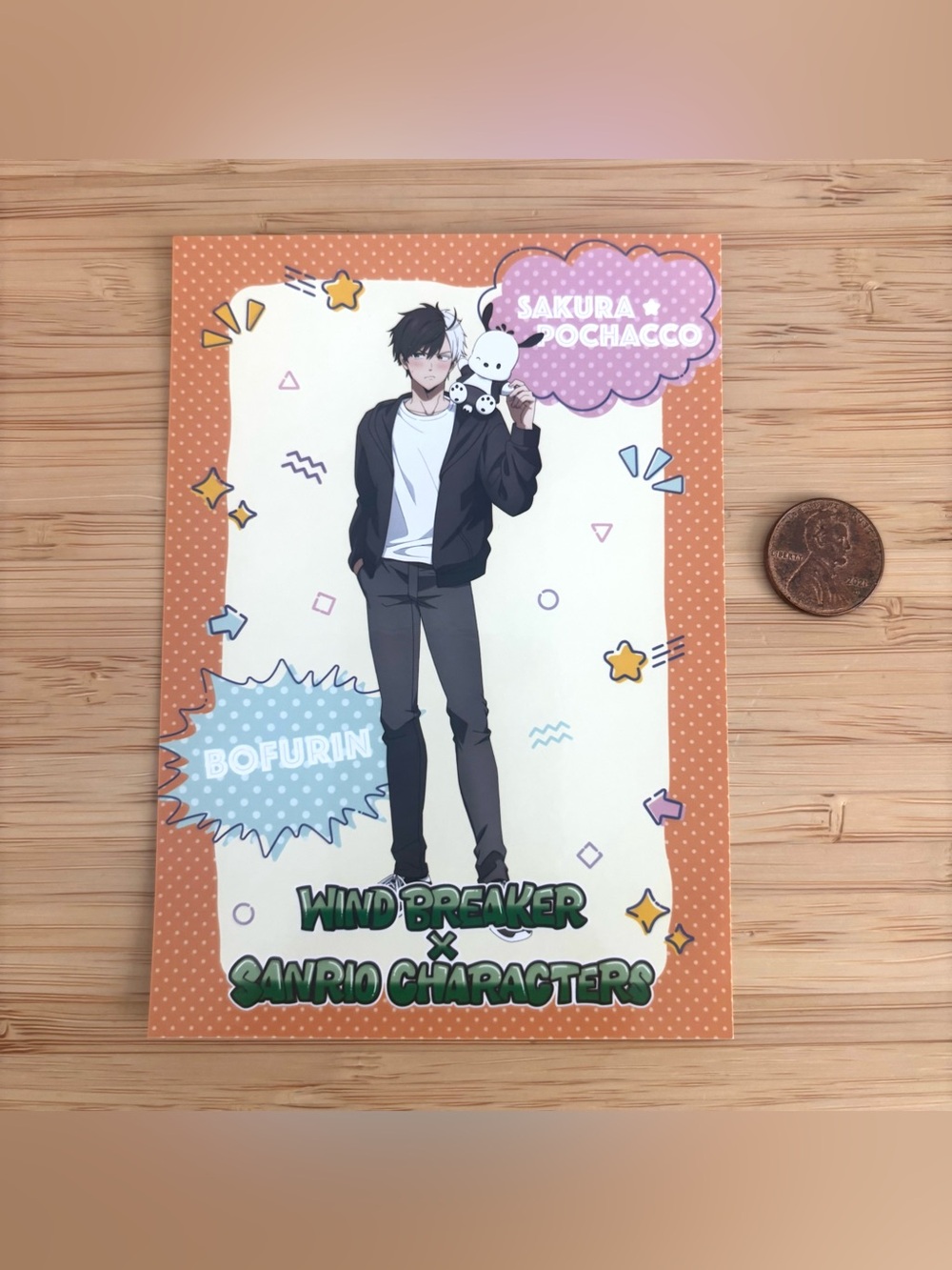 Rare wind breaker anime x sanrio print